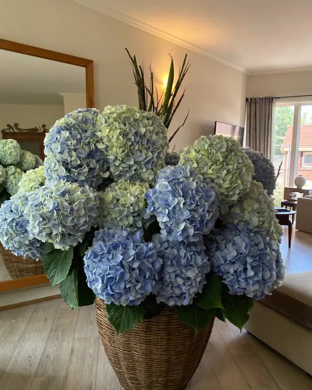 Букет HYDRANGEA №4