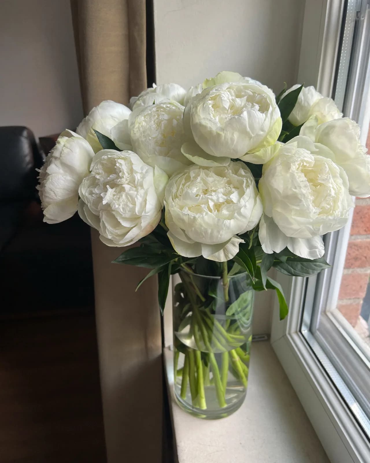Букет PEONY №19